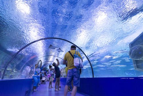 The aquarium would replace the one lost to Hurricane Katrina in 2005 / Shutterstock.com
