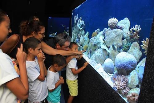 The aquarium has 33 tanks displaying a collection of rare marine life collected from the country’s 115 islands