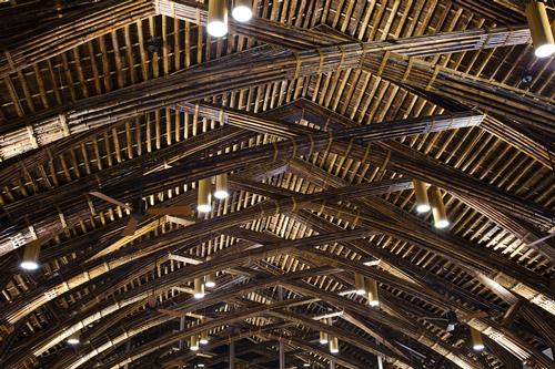 Various types of bamboo were used in construction of all three buildings / Vo Trong Nghia Architects