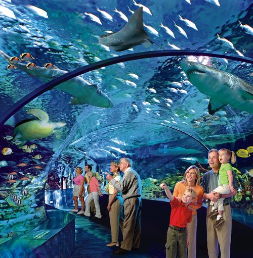 Toronto aquarium set to open this summer