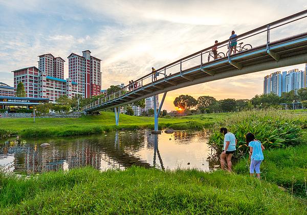 The Bishan-Ang Mo Kio Park project saw a drainage channel transformed into a naturalised river, attracting flora and fauna