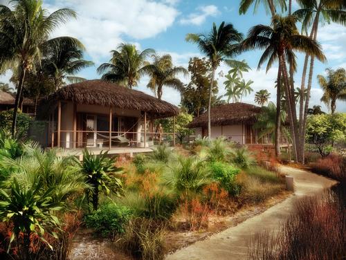 The large spice garden will provide spices and oils for the resort / Jestico + Whiles