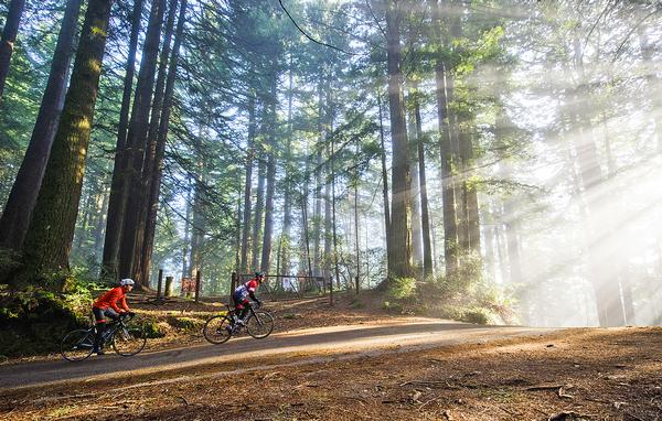Sports like cycling trigger endorphins and improve sleep and appetite