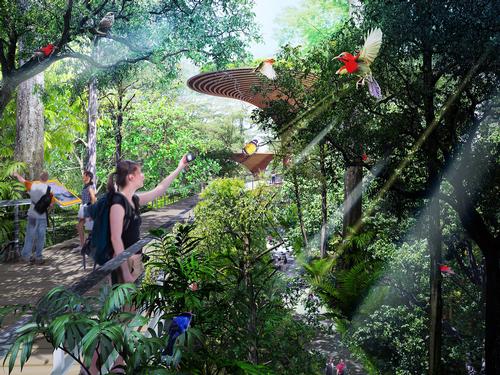 Visitors will be able to interact with the surrounding wildlife / Nikken Sekkei