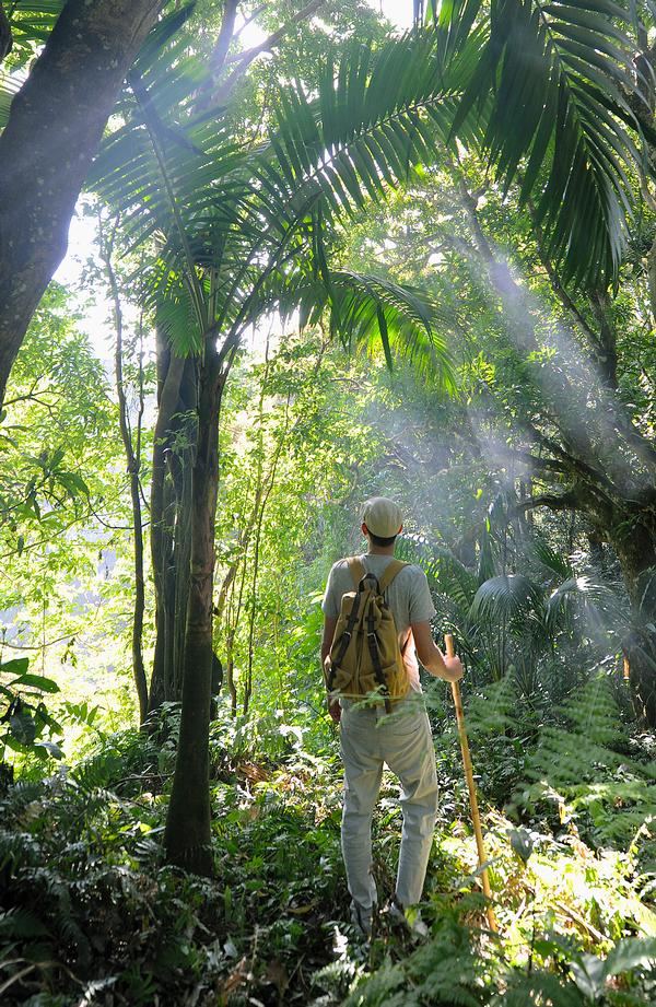 The Caribbean Kittitian Hills resort is opening an edible golf course set in tropical farmland The Caribbean Kittitian Hills resort is opening an edible golf course set in tropical farmland