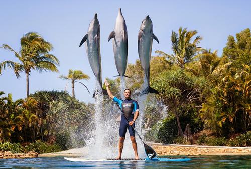 Sea World would need to up its game to maintain visitor numbers Sea World would need to up its game to maintain visitor numbers