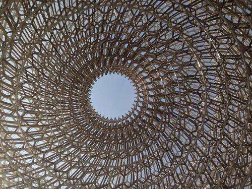 A view from inside the Hive / @WButtress