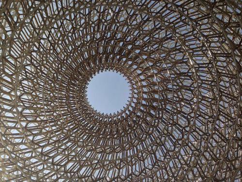 A view from inside the Hive / @WButtress A view from inside the Hive / @WButtress