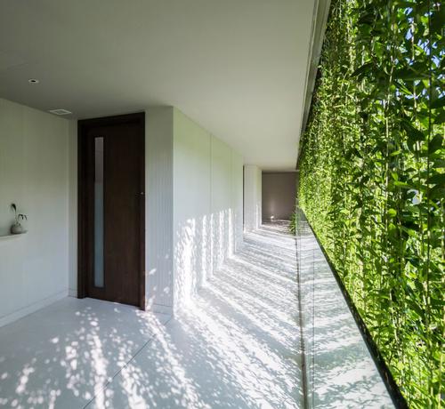 The vertical gardens filter the sunlight into a play of light and shadow / Oki Hiroyuki