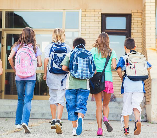 How about teaching children to count steps each day by providing a local school with branded pedometers?