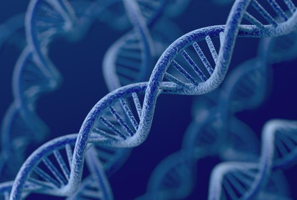 Personalised workouts based on DNA will boost results for members / Photo: shutterstock.com