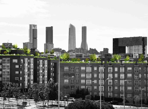 Forested rooftops can bring temperatures down, aid wildlife and beautify urban environments / Arup