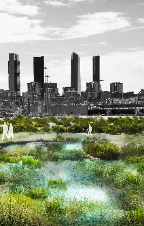 'As cities face increasing population density and shortage of space at ground level, green urban infrastructure is a way to protect buildings from thermal fluctuations and extreme weather,' said Arup / Arup