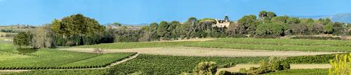 The hotel is located within a wine estate in France’s Languedoc region / Chateau St Pierre