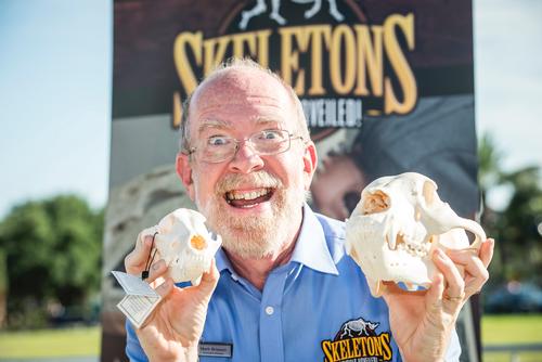 Skeletons, Animals Unveiled! will join the attractions lineup with more than 400 animal skeletons exhibited / Roberto Gonzalez/Getty Images for I-Drive 360
