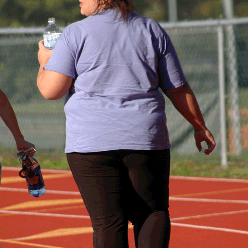 Medical profession unites in obesity fight