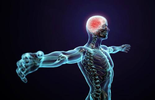 The research suggests that moderate levels of physical activity enhance neuroplasticity in the visual cortex of adult humans / Shutterstock.com The research suggests that moderate levels of physical activity enhance neuroplasticity in the visual cortex of adult humans / Shutterstock.com