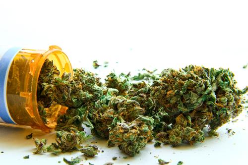 Massachusetts became the 18th state in the US to legalise medical marijuana when voters passed a ballot in 2012 / Shutterstock / Atomazul Massachusetts became the 18th state in the US to legalise medical marijuana when voters passed a ballot in 2012 / Shutterstock / Atomazul