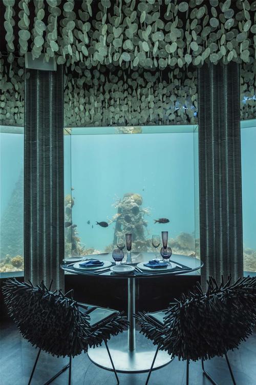 Poole Associates’ redesign was inspired by the venue’s aquatic surroundings
