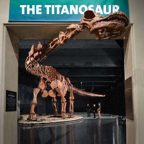 American Museum of Natural History unveils Titanosaur