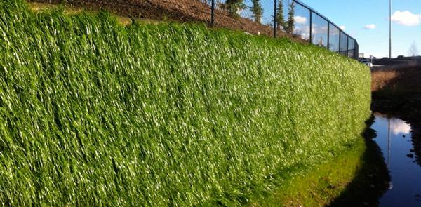 Wall system offers rapid solution for groundsmen