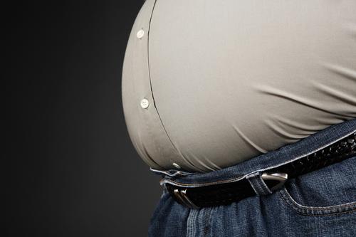 The issue of obesity has grown in prominence in the UK, as well as other parts of Europe / Shutterstock.com / Suzanne Tucker