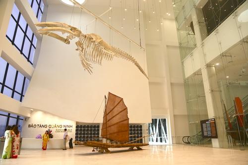 Whales are considered sacred animals by the local fisherman who worship them / S Design 