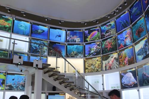 The flora and fauna of the bay is celebrated on the first floor / Discover Halong