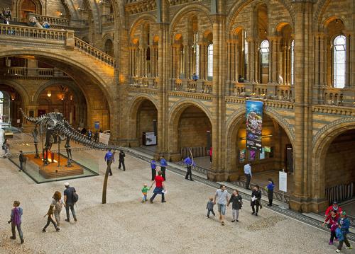 The Natural History Museum's Hintze Hall will be the location of the silent disco / Shutterstock.com