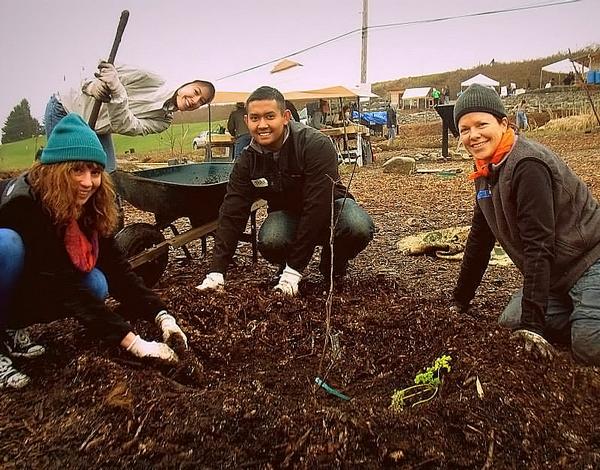 The goal of the project is to regenerate public land into an edible forest ecosystem