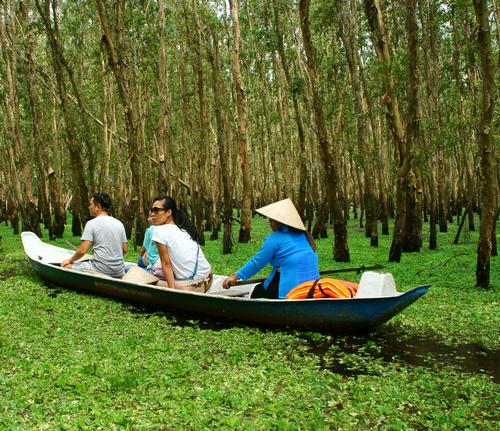 Sustainable travel on the rise: study