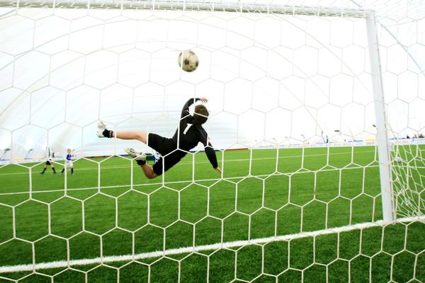 Artificial turf / © shutterstock.com/