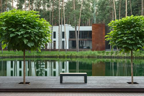 The spa is surrounded by a pine forest in the region of Poltava / Andrey Avdeenko