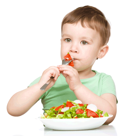 The US government runs a nutrition assitance programme to provide children with better access to healthy foods / Shutterstock