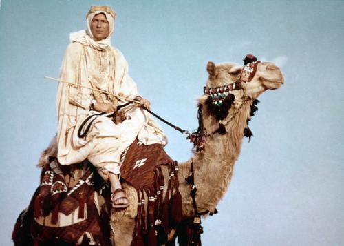 T.E Lawrence was portrayed by Peter O'Toole in the 1962 film <i>Lawrence of Arabia</i>