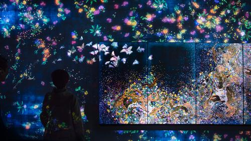 Butterflies, birds and flowers come to life in several of the inmstallations / teamLab