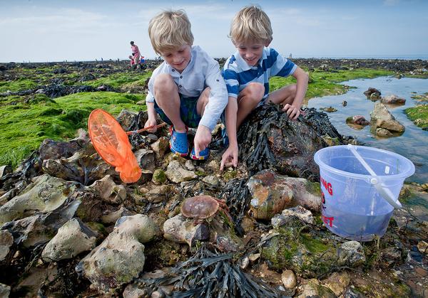About 50,000 people, schools and businesses signed up to the 30 Days Wild challenge, pledging to connect with nature every day / PHOTO: MATTHEW ROBERTS