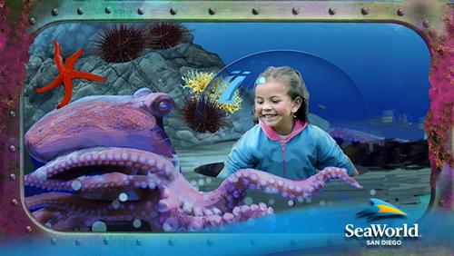 Ocean Explorer will comprise a series of aquariums combined with exciting rides and digital technology / SeaWorld Entertainments