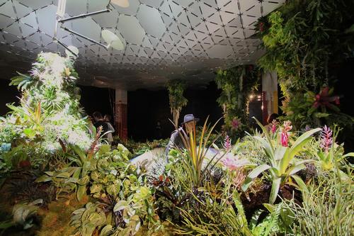 The Lowline Lab, launched this week, is a research laboratory designed to explore what plants will be able to grow in the darkened conditions of the Lowline / RAAD Studio