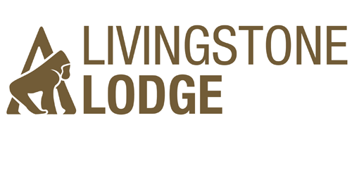 Livingstone Lodge wins Beautiful South Tourism Experience of the year award