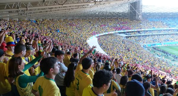 Fans inside the 58,170-capacity Mineirão stadium in Belo Horizonte - the venue for the infamous Brazil v. Germany (1-7) game 