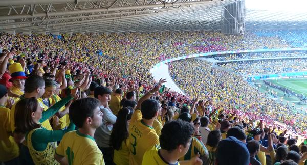 Fans inside the 58,170-capacity Mineirão stadium in Belo Horizonte - the venue for the infamous Brazil v. Germany (1-7) game 