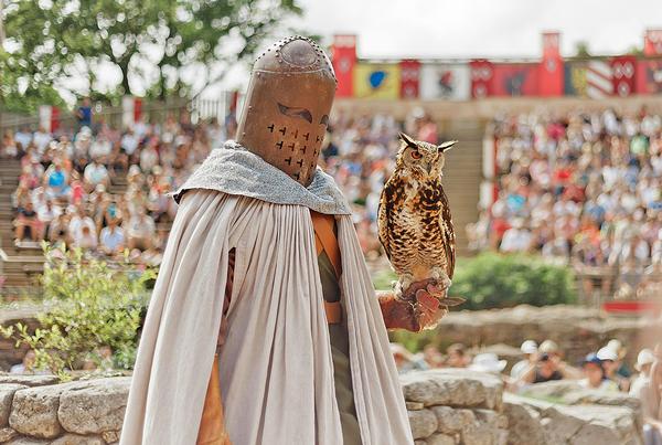 Puy du Fou has even invested in its own Falconry and Canine Academies