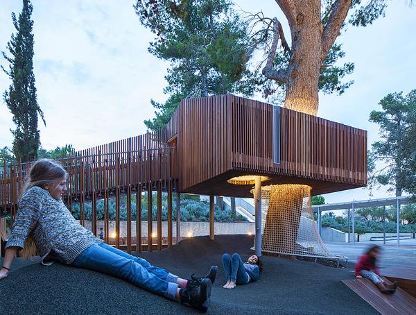 The pine tree and wooden boards contrast with the modern concrete and stone museum