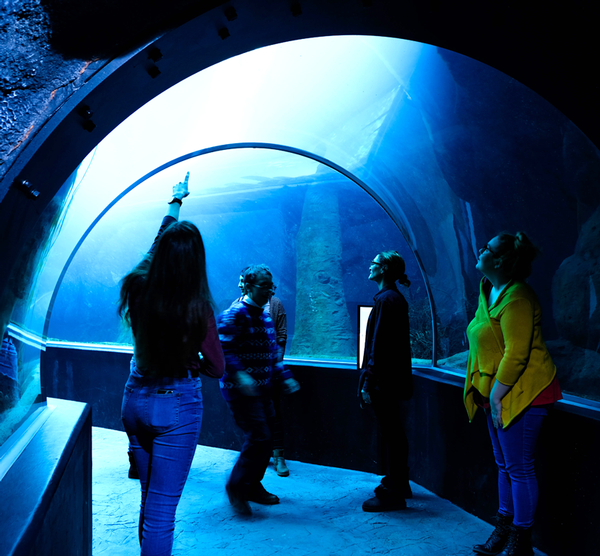 The aquarium and its hotel are located just a few minutes away from central Lausanne