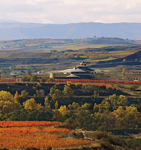 The Dinastia Vivanco museum and winery is completely surrounded by vineyards, which visitors can explore 