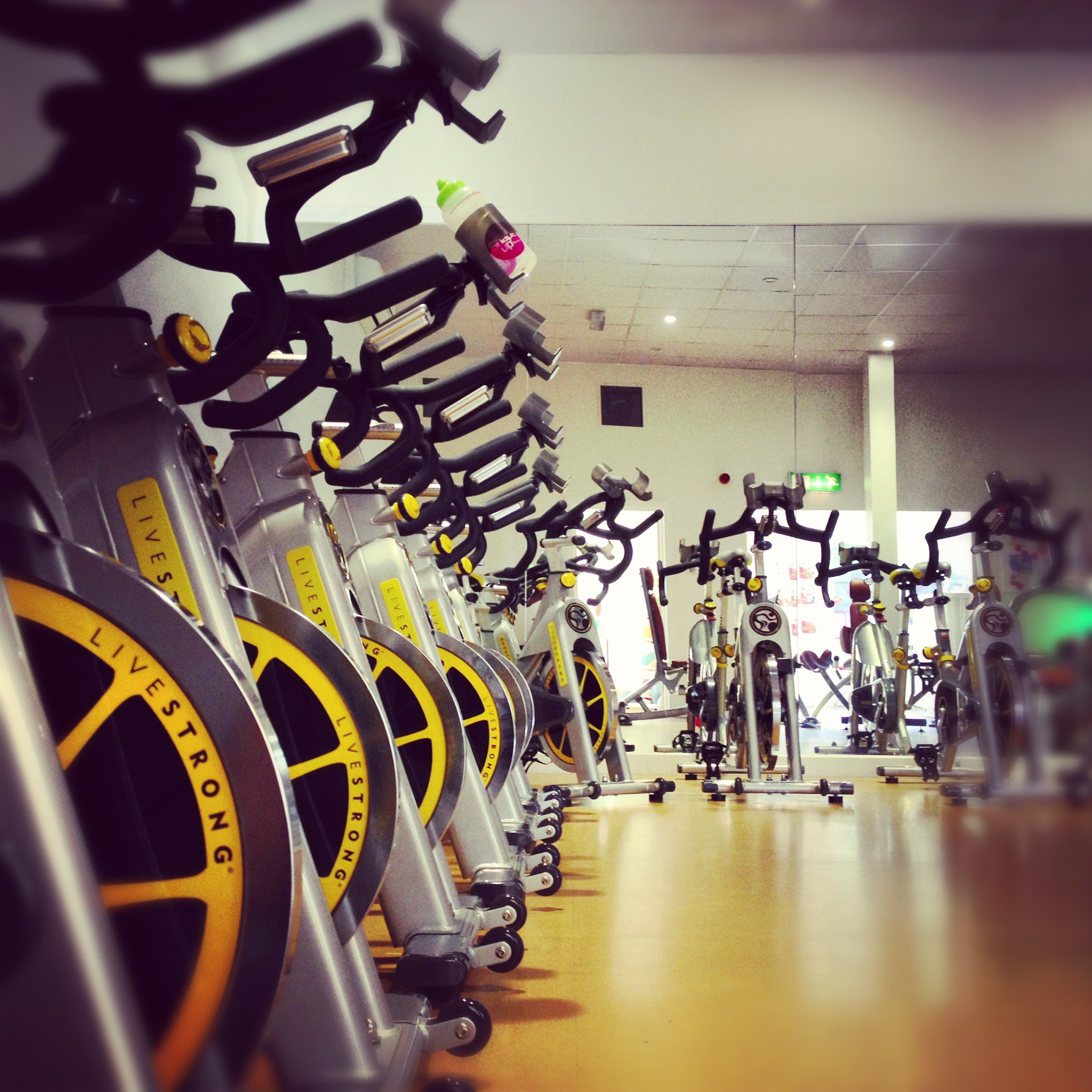 After a promising pilot, Shape Up Studios is now being rolled out