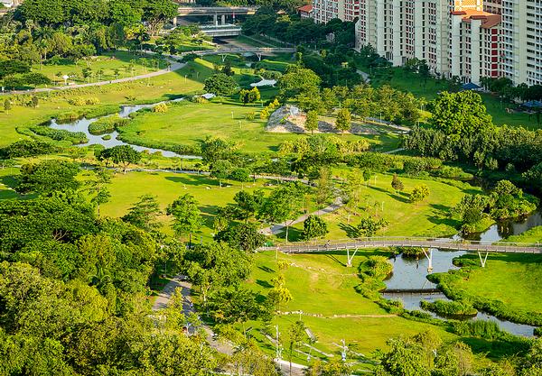 The Bishan-Ang Mo Kio Park project saw a drainage channel transformed into a naturalised river, attracting flora and fauna