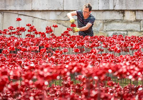 Blood-Swept Lands and Seas of Red saw 888,246 hand-made poppies planted at the Tower of London / RLeaHairHRP