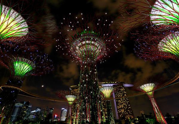 The supertrees provide shade by day and come alive with lighting and projected media by night. Some of them feature photovoltaic cells and some act as air exhausts for the cooled conservatories The supertrees provide shade by day and come alive with lighting and projected media by night. Some of them feature photovoltaic cells and some act as air exhausts for the cooled conservatories